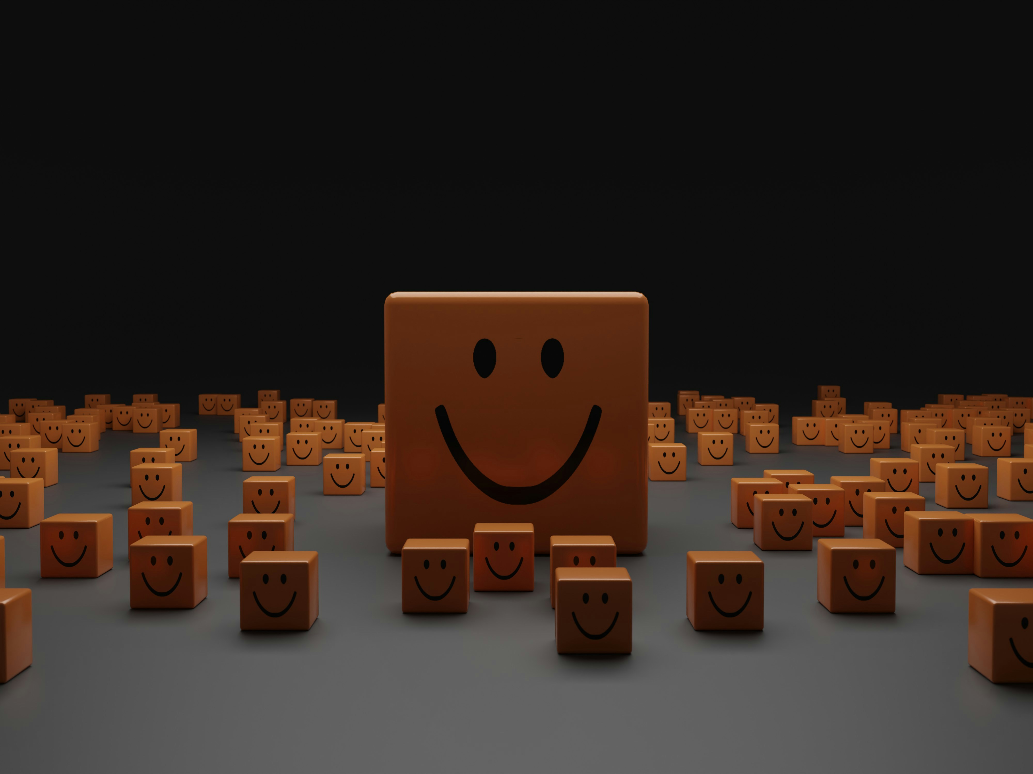 Toolkit Survey Header Image